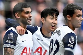 米兰网页版 -大坂艺伎表演